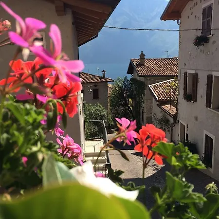 Casa Limone