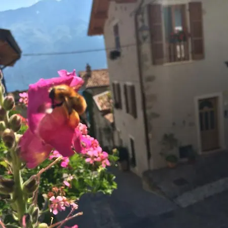 Apartamento Casa Limone
